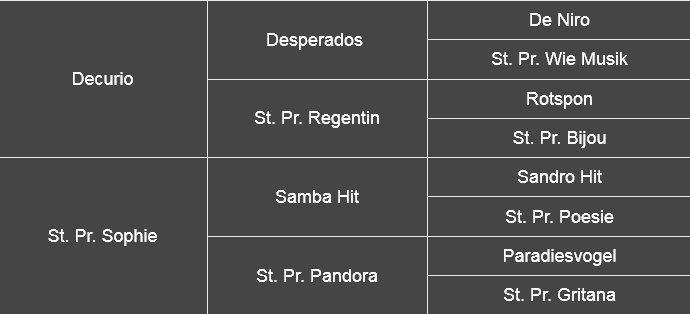 Abstammungstafel von Diakato PS