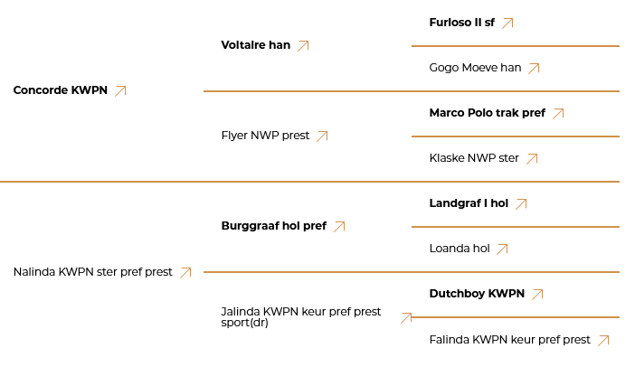 Abstammungstafel von Vino for Fun