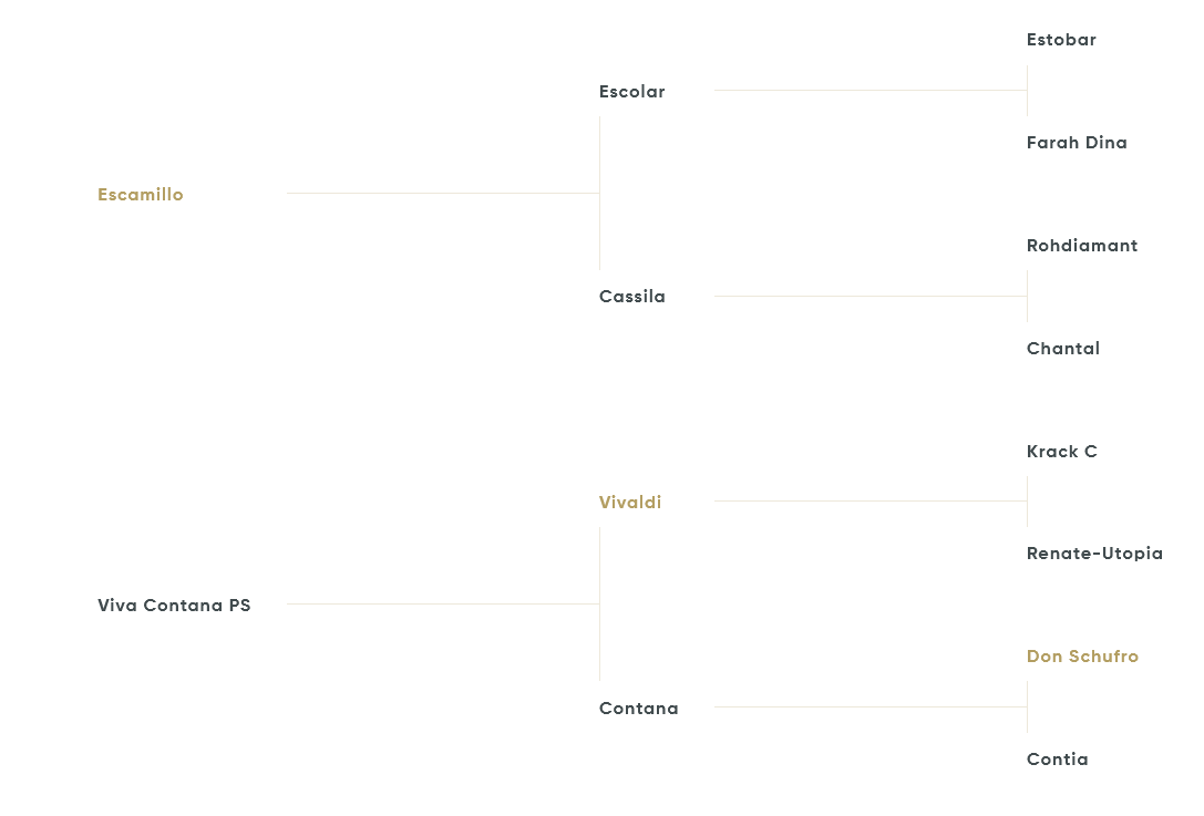 Abstammungstafel Extreme U.S.