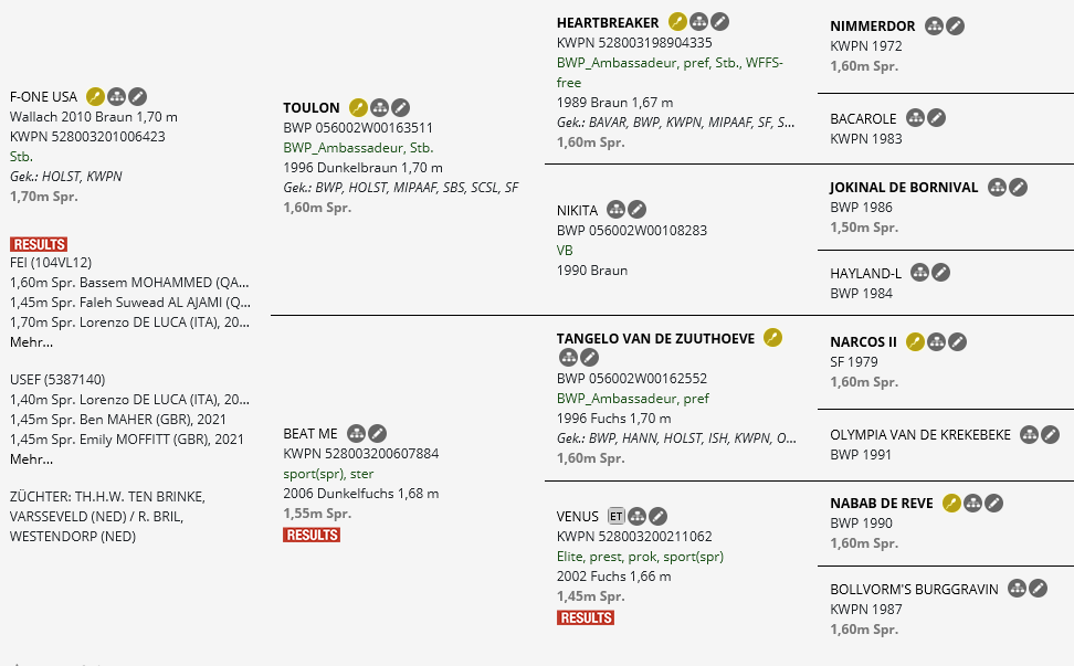 Abstammungstafel F-One USA