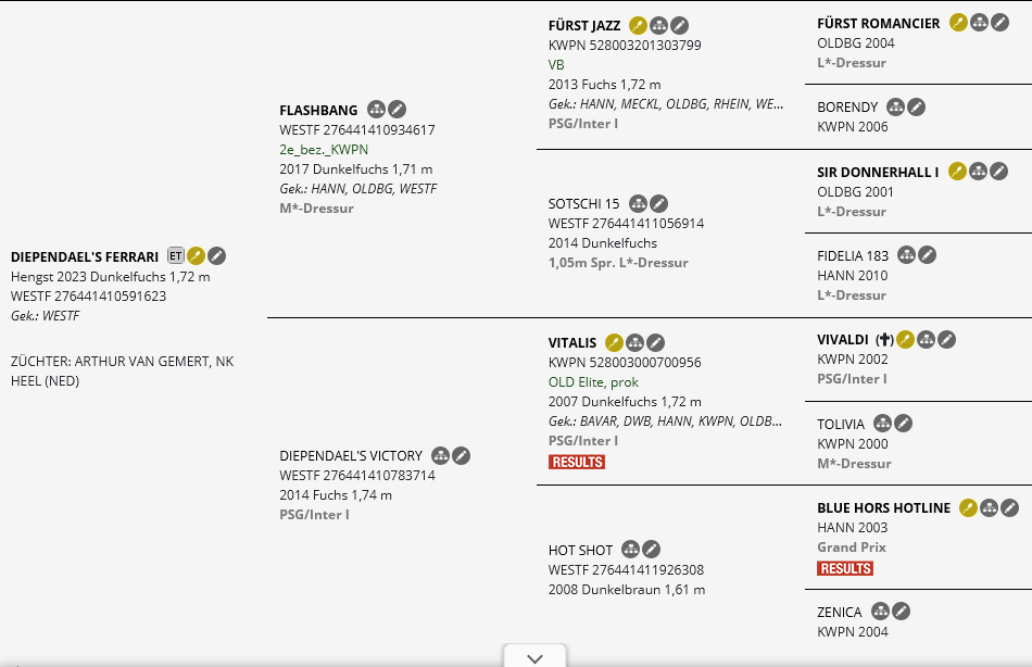 Abstammung Ferrari Gold