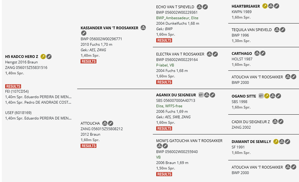 Abstammungstafel H5 Kadco Hero Z