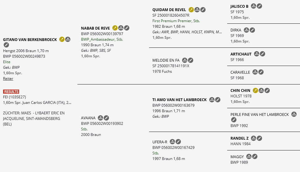 Abstammungstafel Gitano van Berkenbroeck