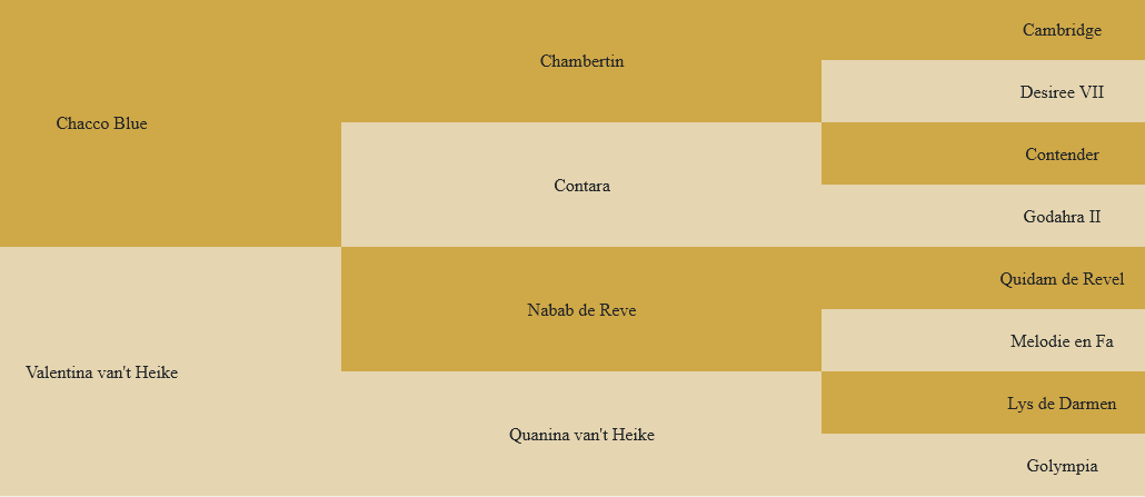 Abstammungstafel Chaudfontaine JL Z