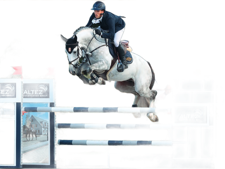 BWP Hengst Ermitage Kalone