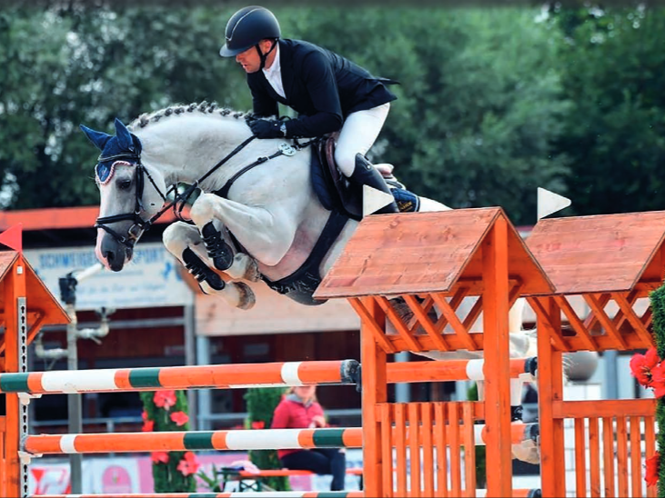 Springhengst Darcosall de Revel