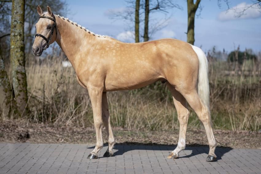 Vanilla Ice de Tamise im Seitenbild