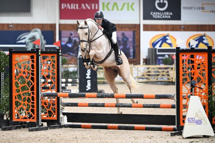 Springhengst Vanilla Ice de Tamise