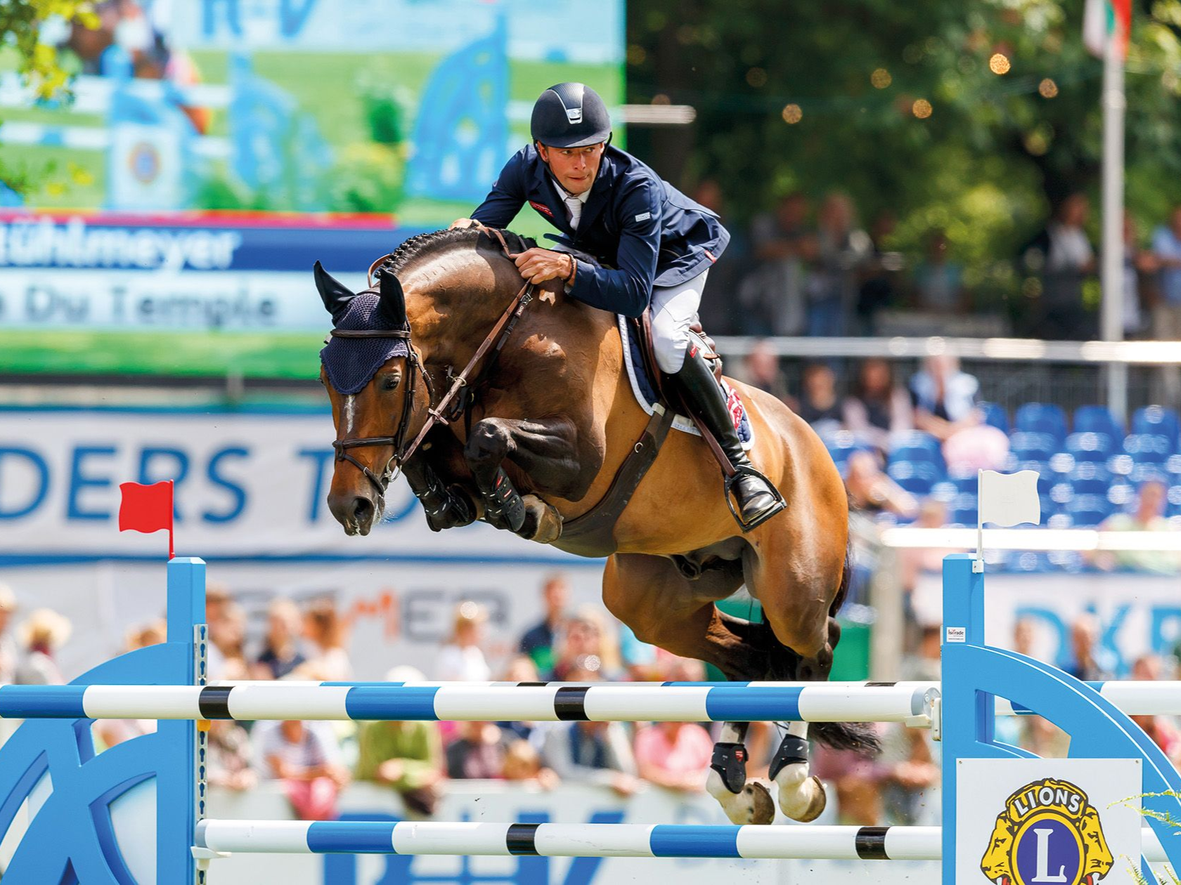 Springhengst Varihoka du Temple