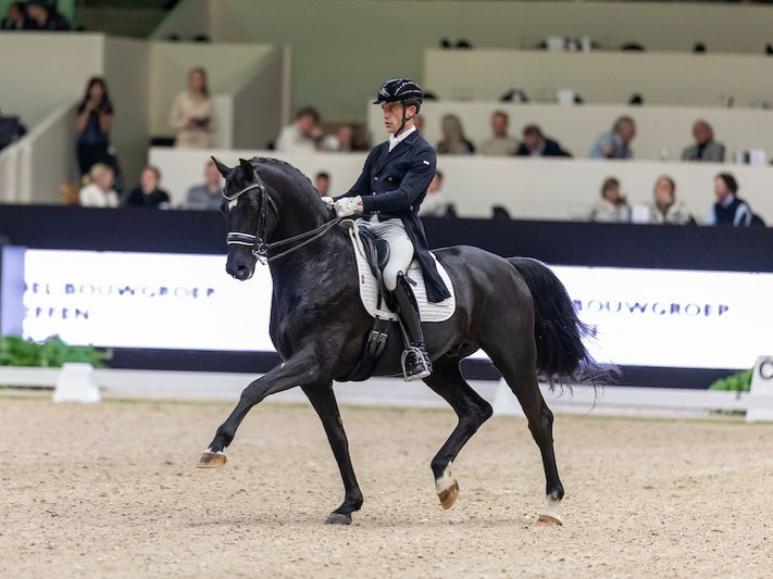 Dressurhengst Zonik Plus