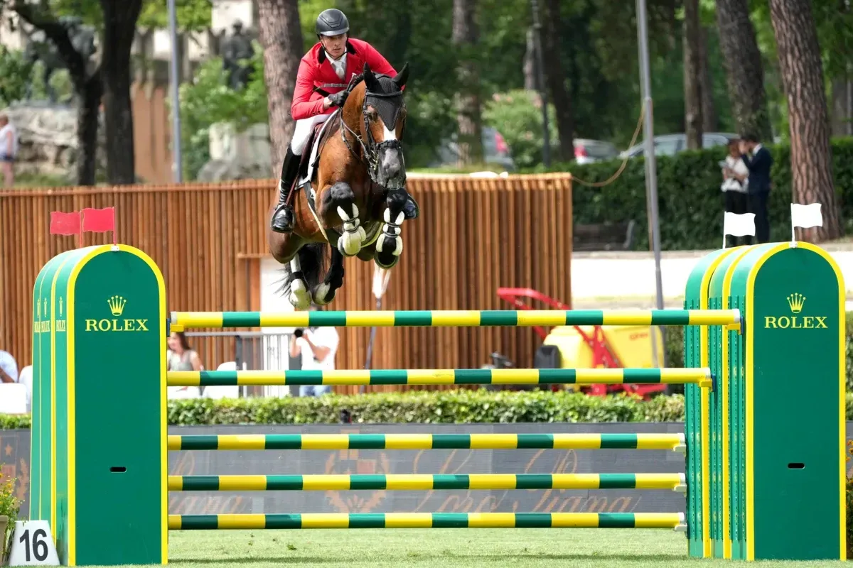 Zangersheide Hengst Akarad Hero Z über dem Sprung