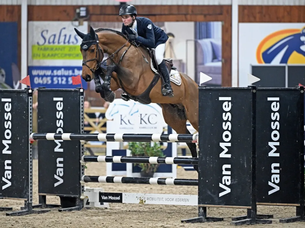 Springhengst Chaudfontaine JL Z