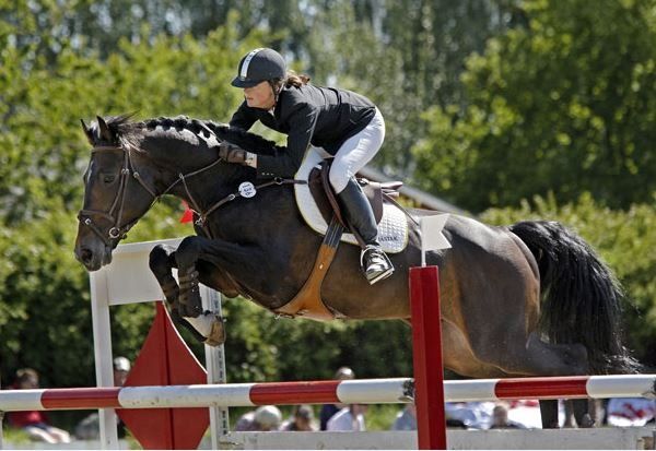 Springhengst Cuper unter dem reiter beim Springen