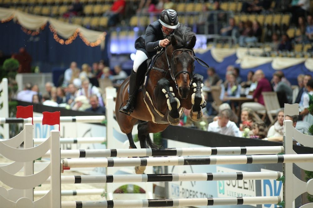 Springbild von Elvis Ter Putte