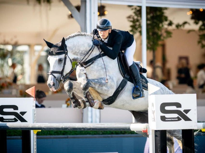 Springhengst Diakato PS