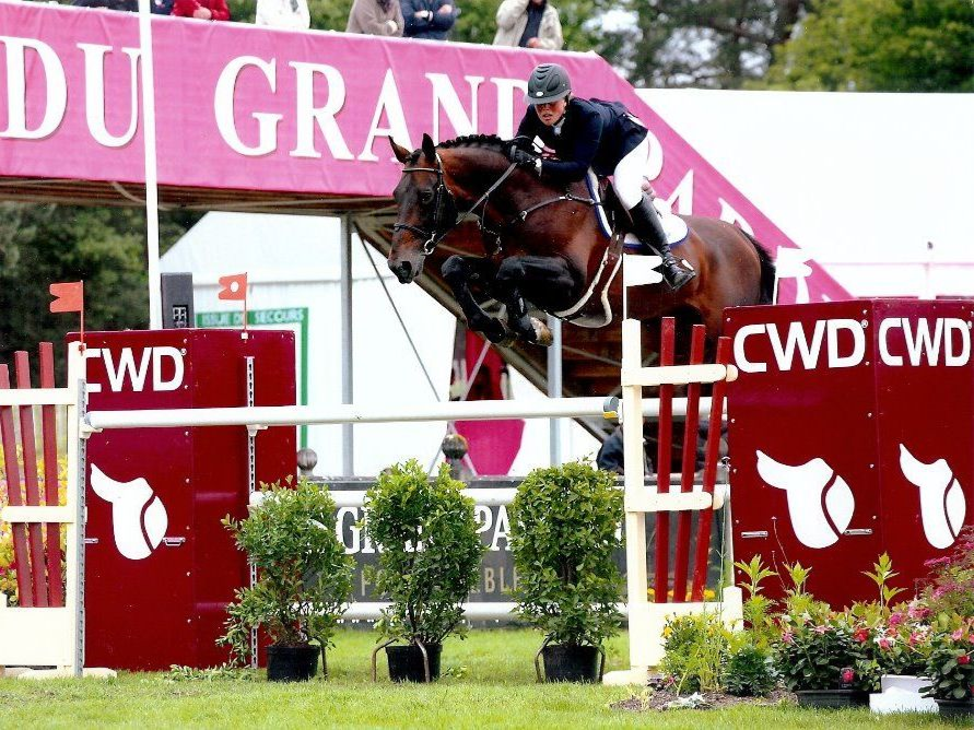 Springhengst Bamako de Muze