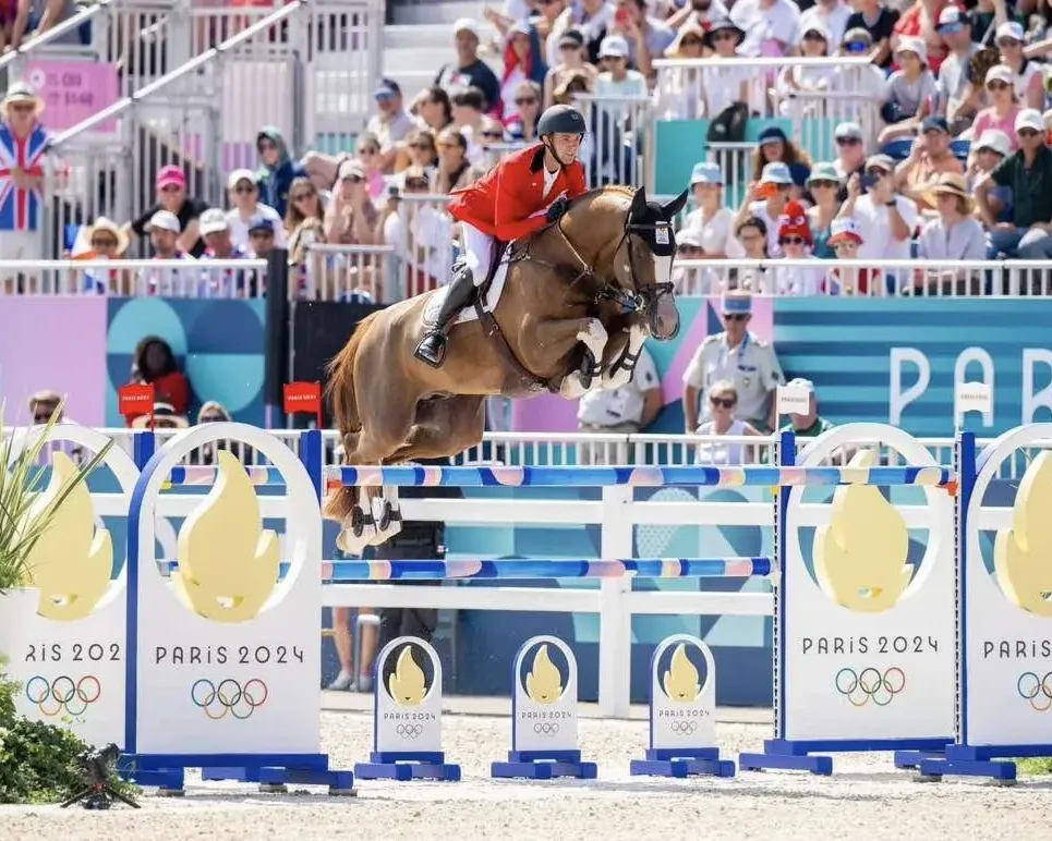 BWP Hengst Ermitage Kalone