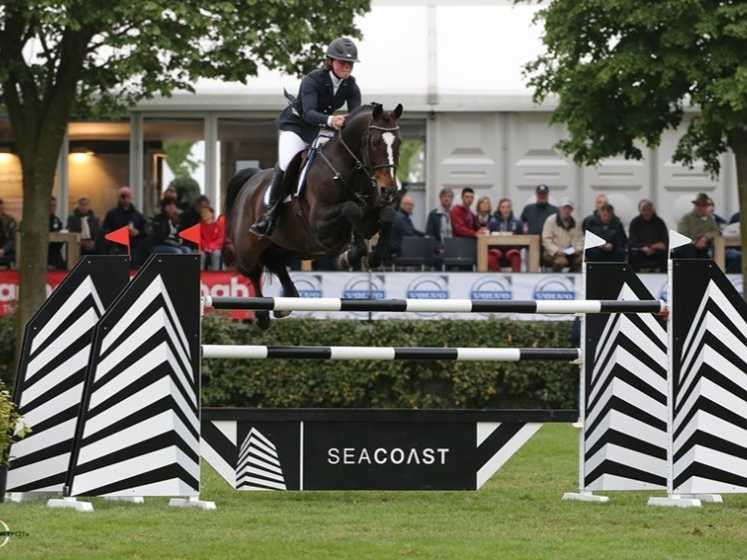 Springhengst Fantomas de Muze