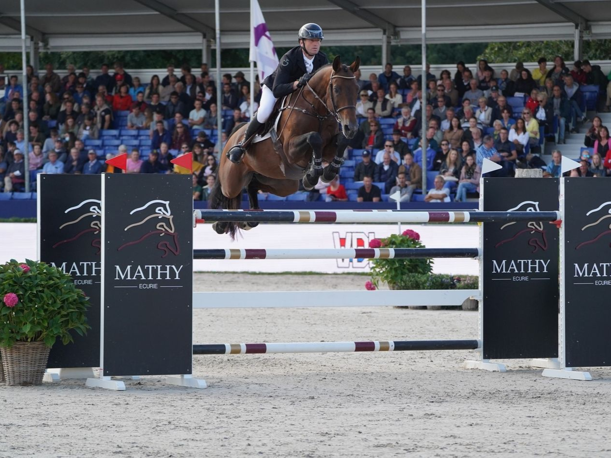 Springhengst Kasanova de la Pomme