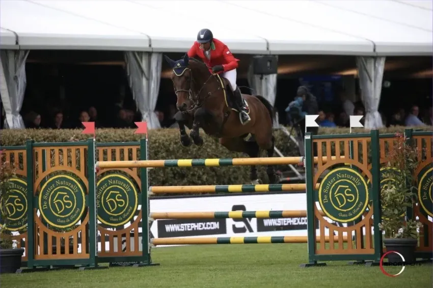 Springhengst Gitano van Berkenbroeck mit Reiter