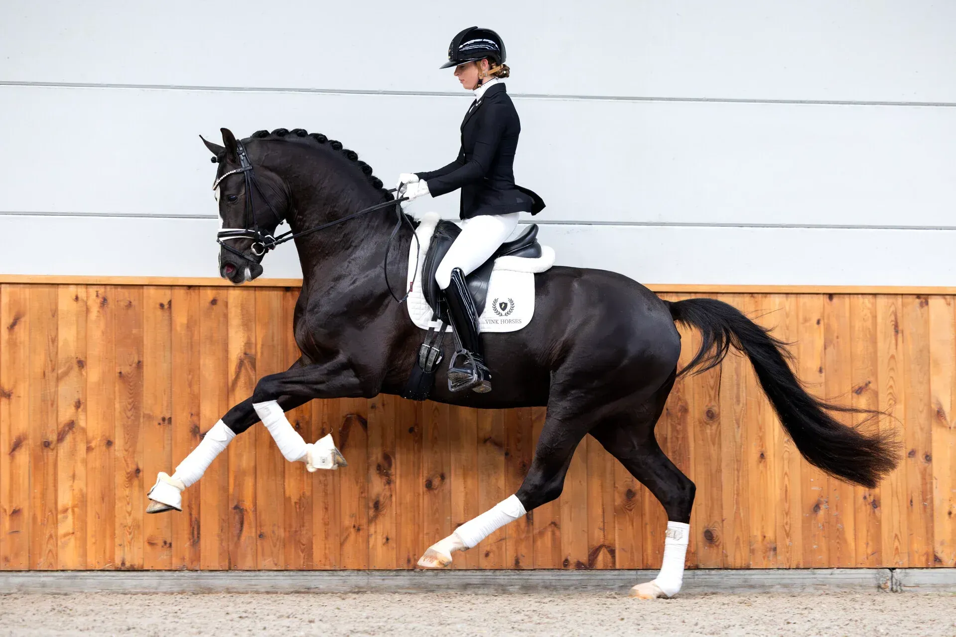 Dressurhengst So You Can Dance von Vornholt Pferde