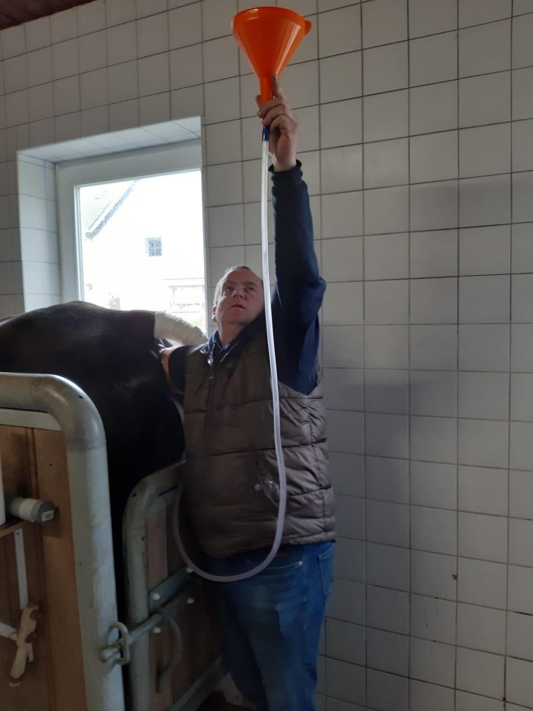 Scheiden Spülung durch Steffen Vornholt