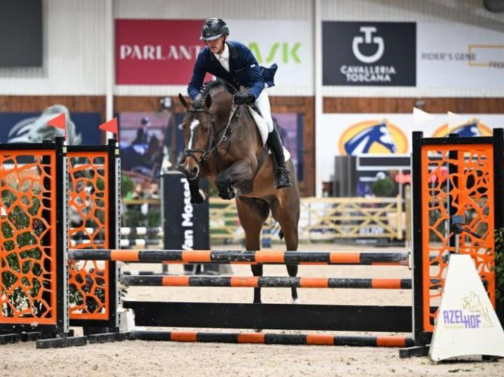 Springhengst Vino for Fun