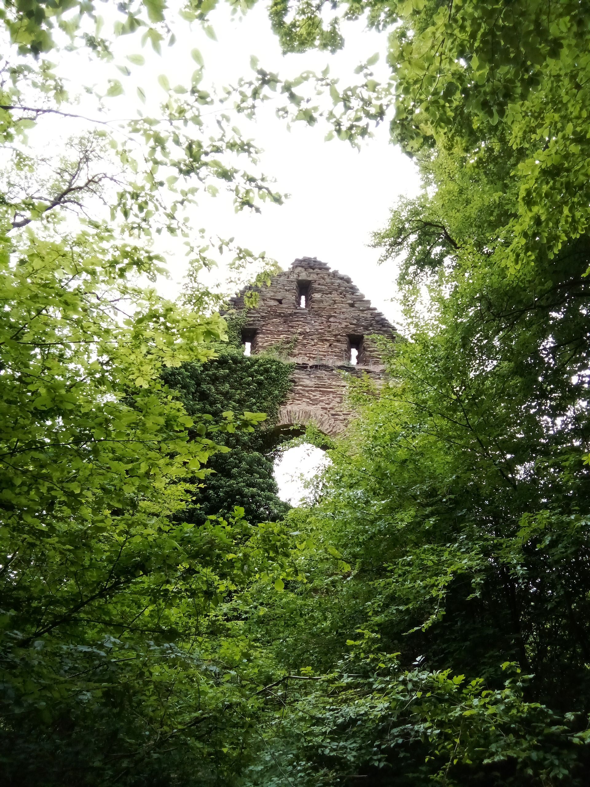 Brunnenburg (Foto: Rita Landau)