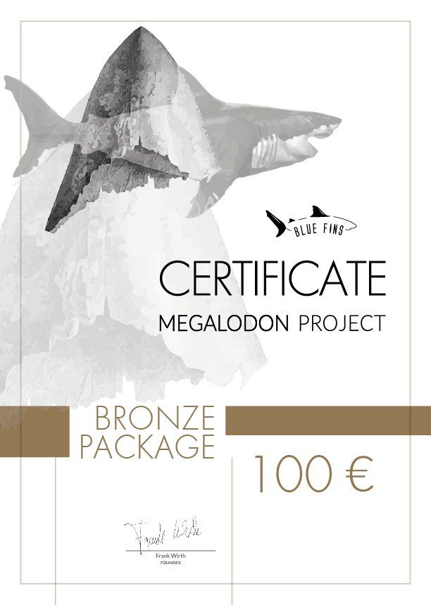 Bronze Certificate 100 Megalodon Project