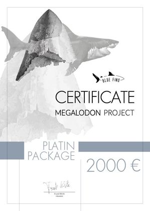 Platin Certificate 2000 Megalodon Project