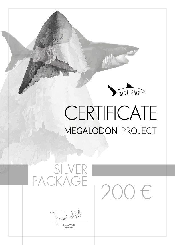 Silver Certificate 200 Megalodon Project