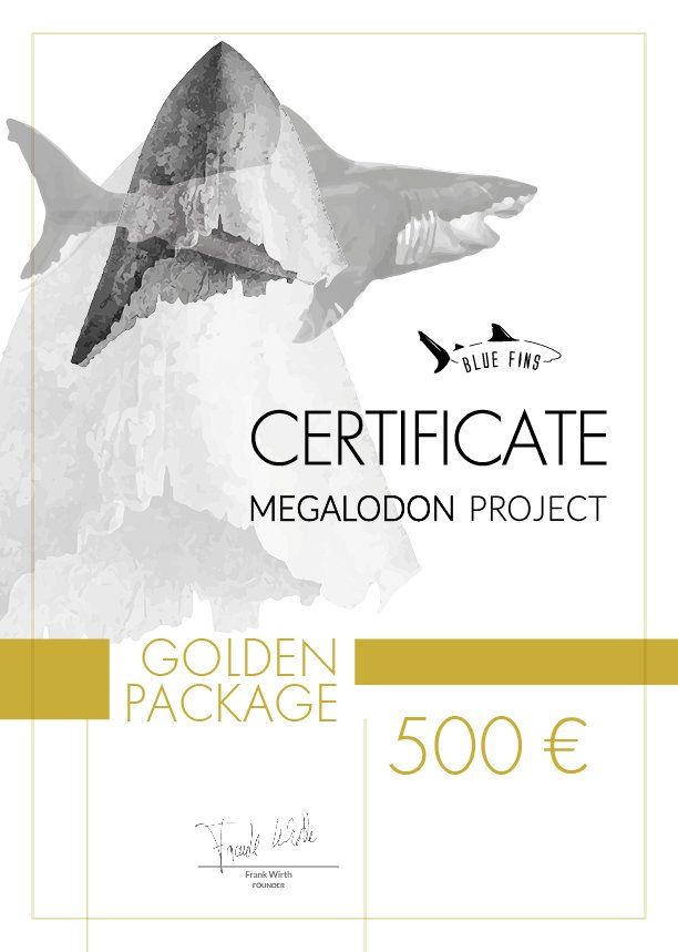 Golden Certificate 500 Megalodon Project