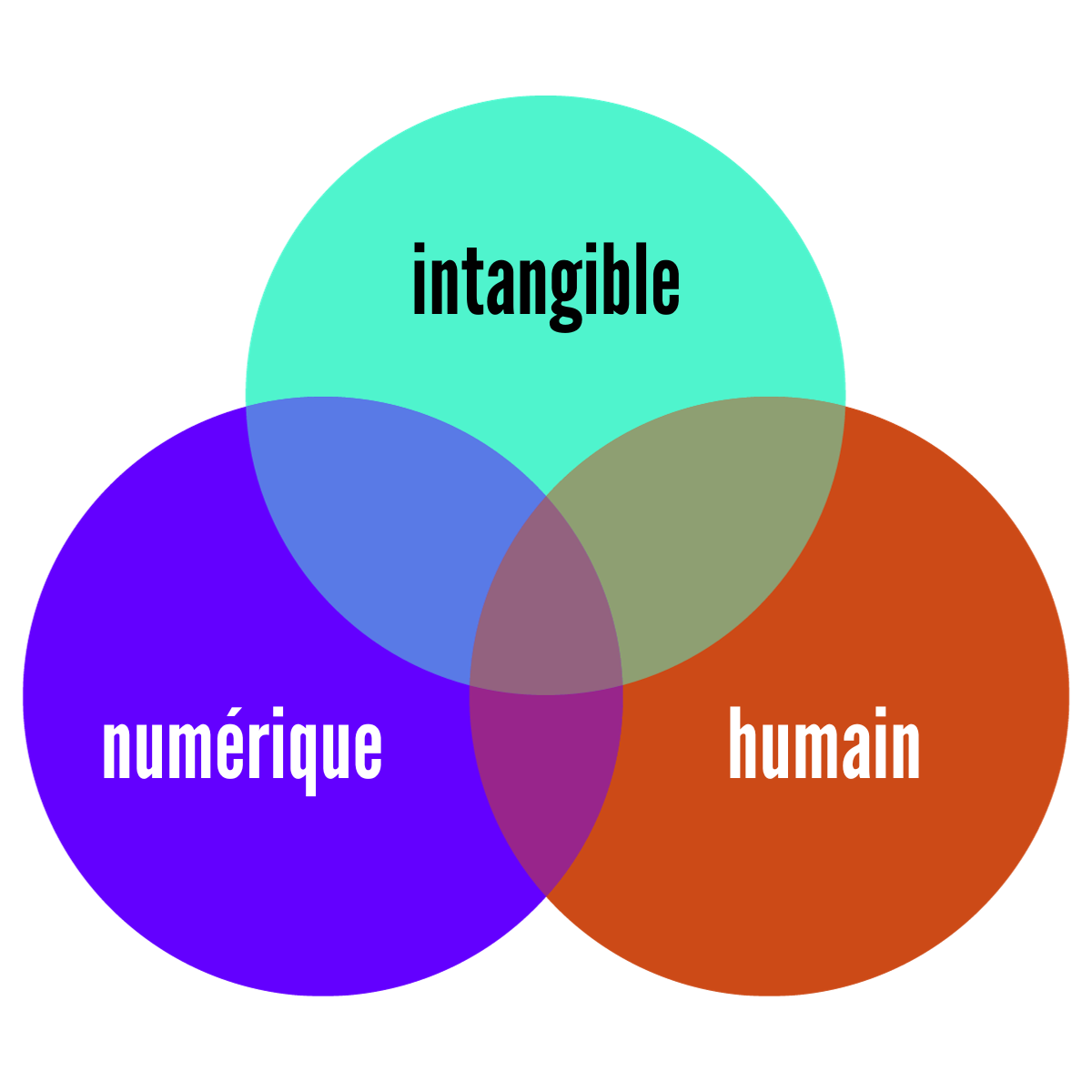 Trois sphères imbriquées : intangible, numérique, humain