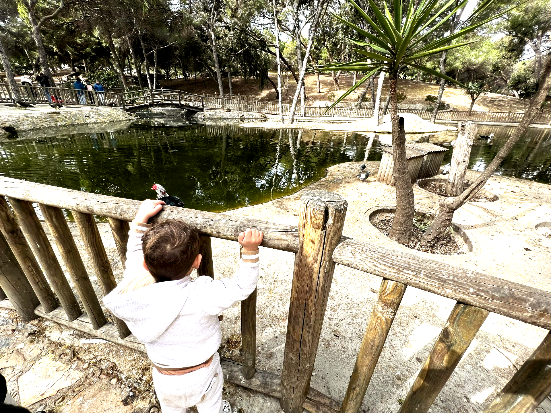 Parque Reina Sofia Y Alfonso XIII