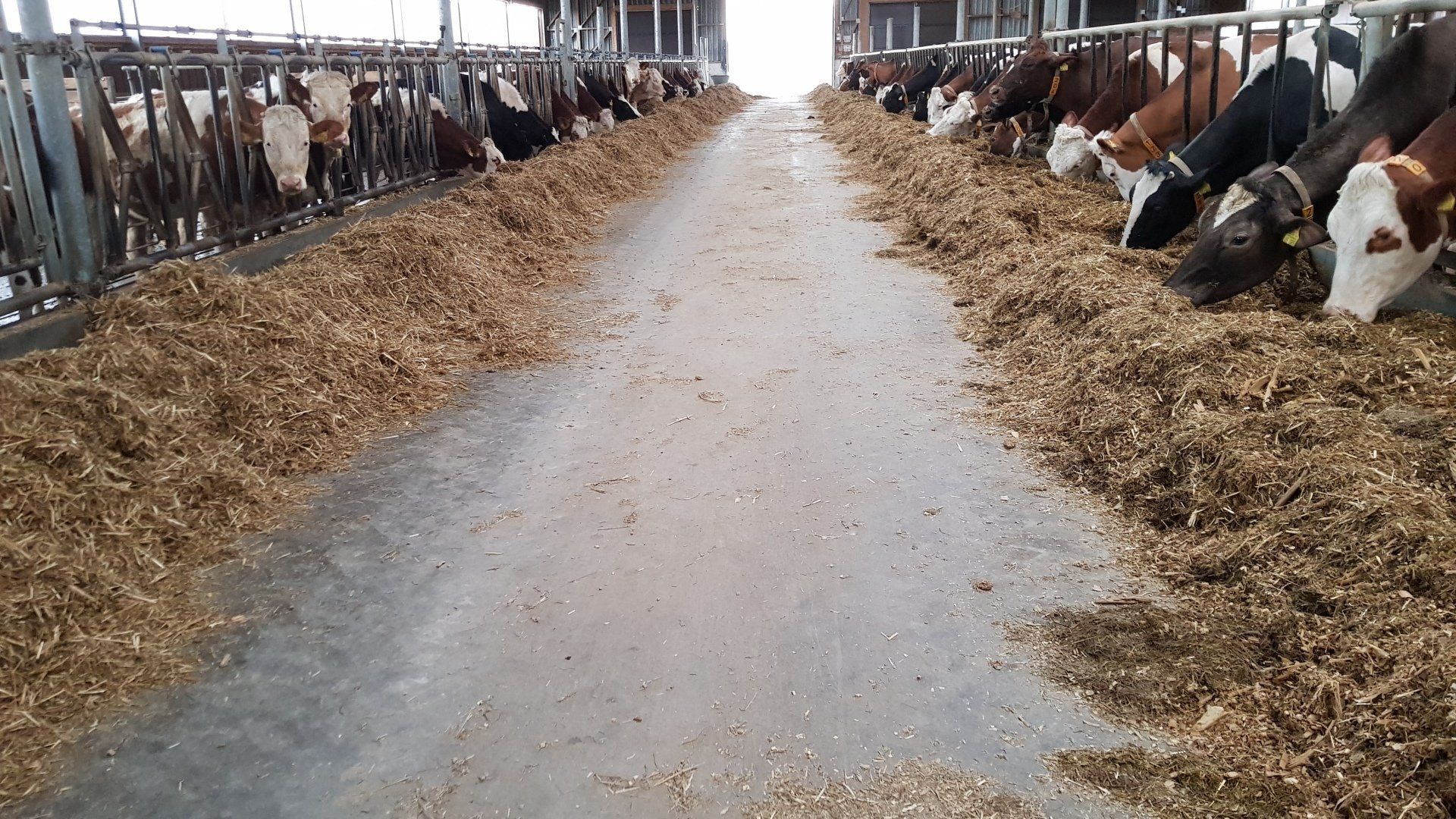 Beschichtung entfernt, entschichten von Beschichtung