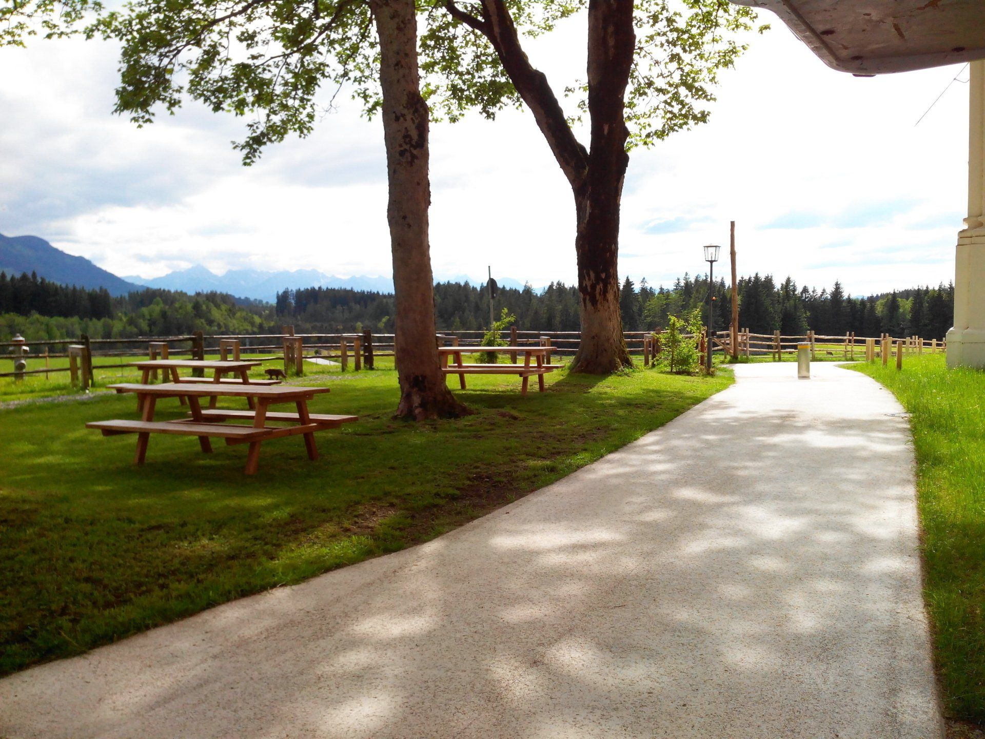 Asphalt mit Aspahlt-Grinding bearbeitet, veredelt