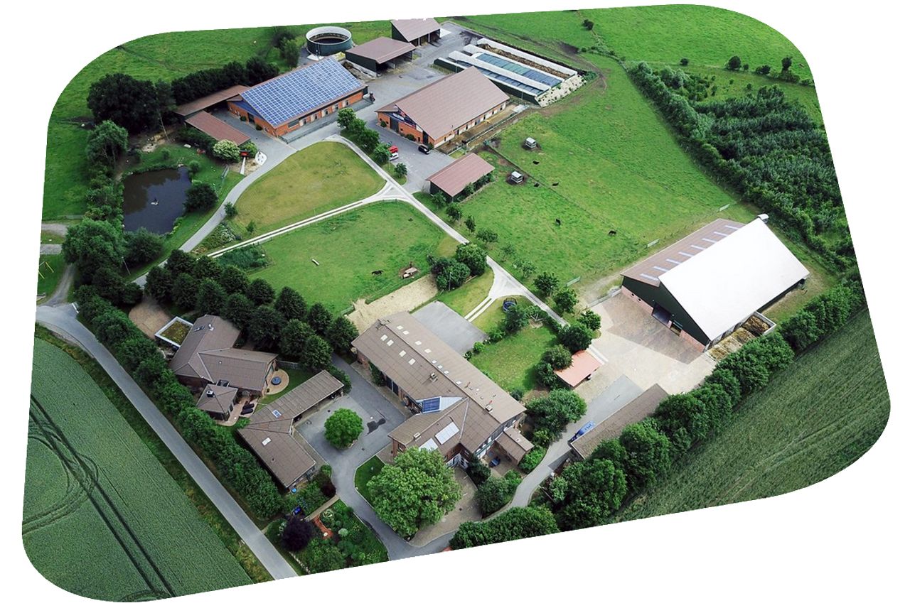 Heu und Heulage in Minirundballen für Pferde direkt ab Hof