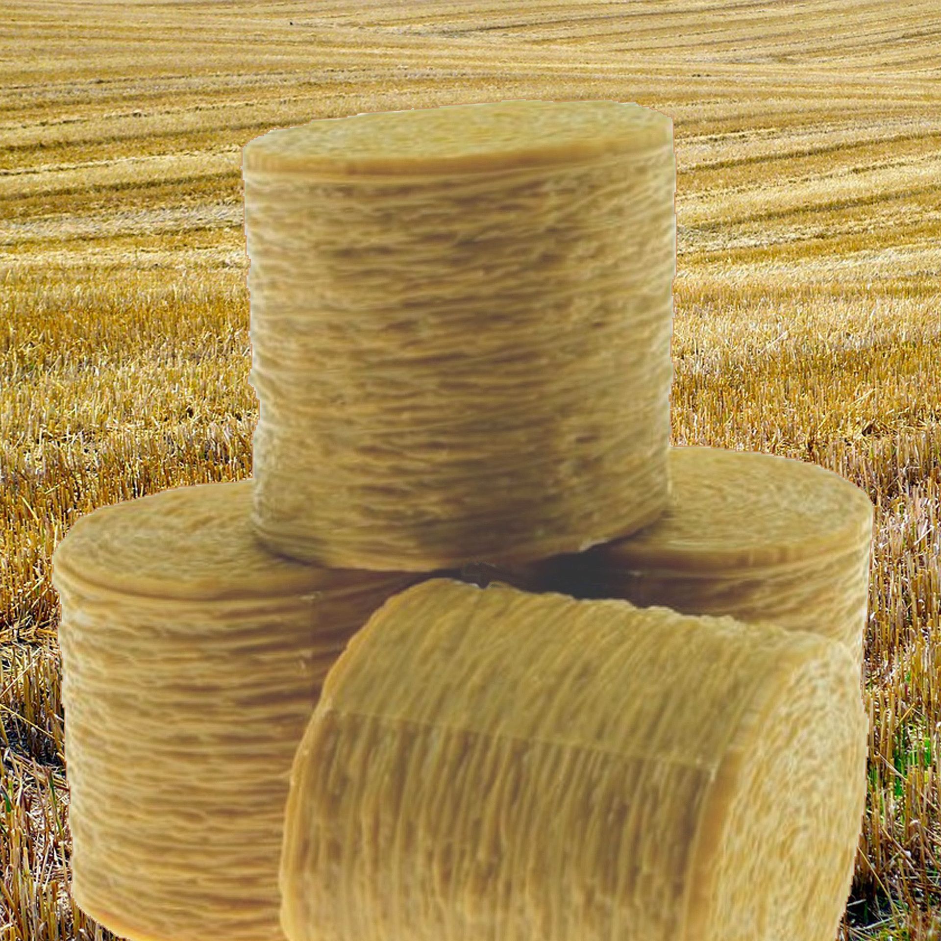 Haferstroh ist eine ausgezeichnete Ergänzung für die Pferdefütterung