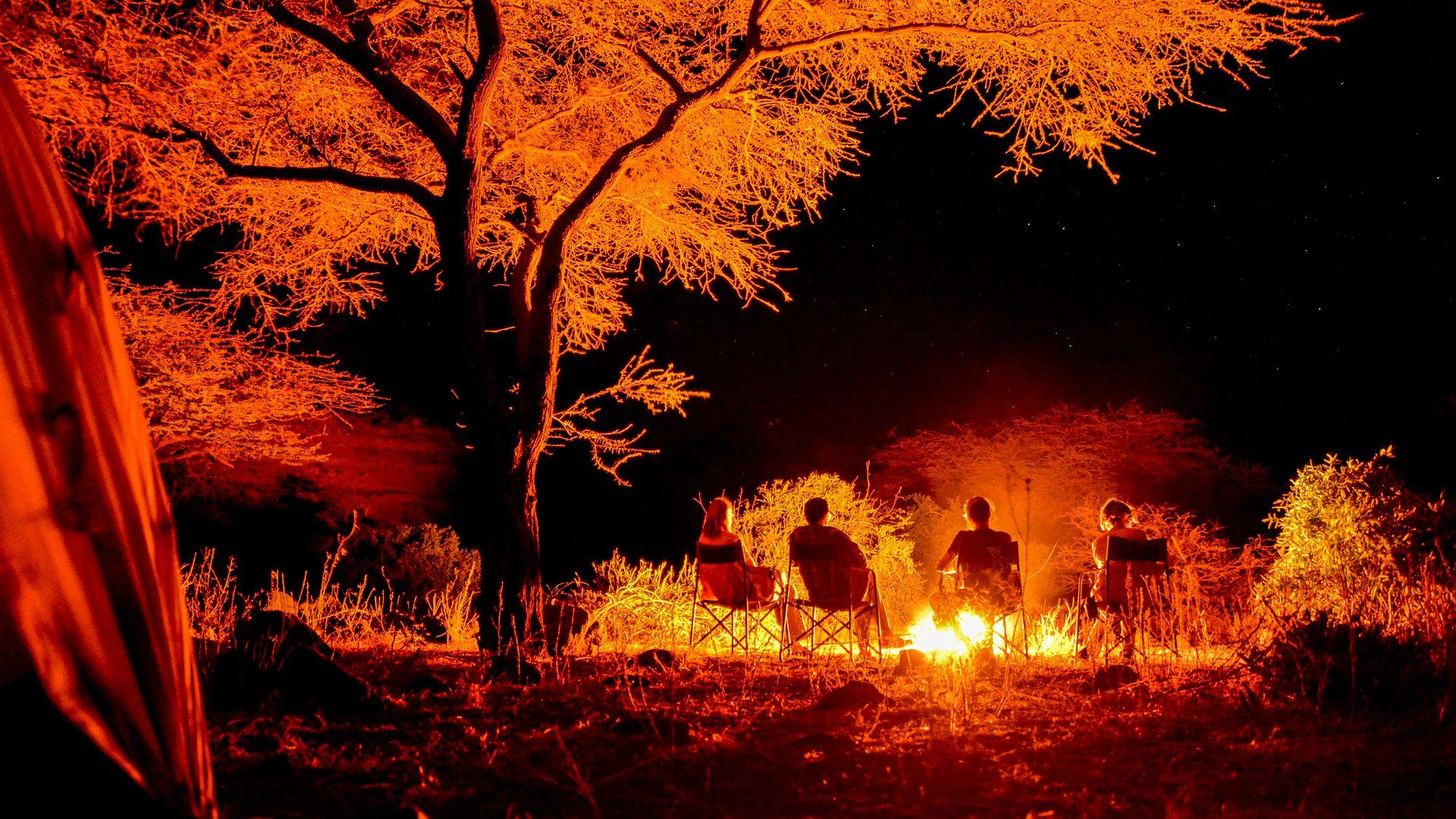 (c) Angelika Grünbeck