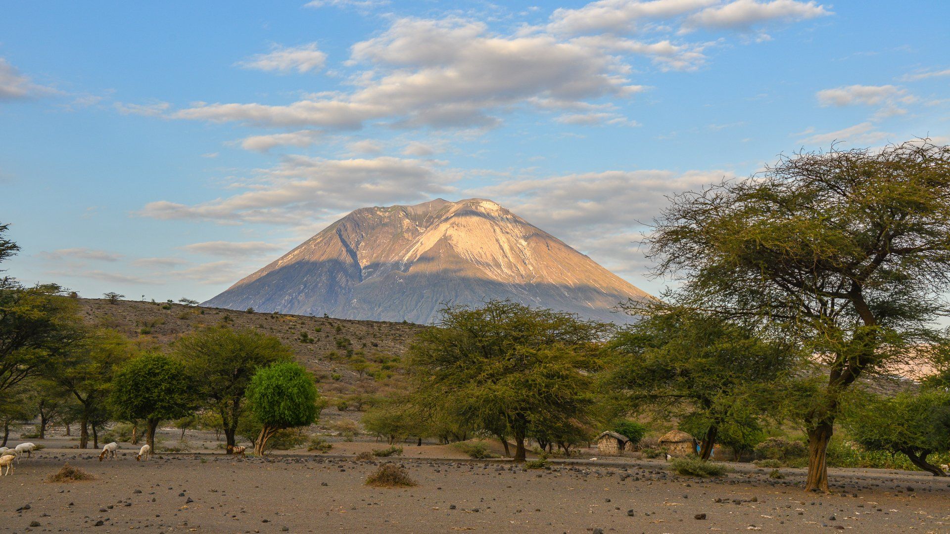 (c) Angelika Grünbeck