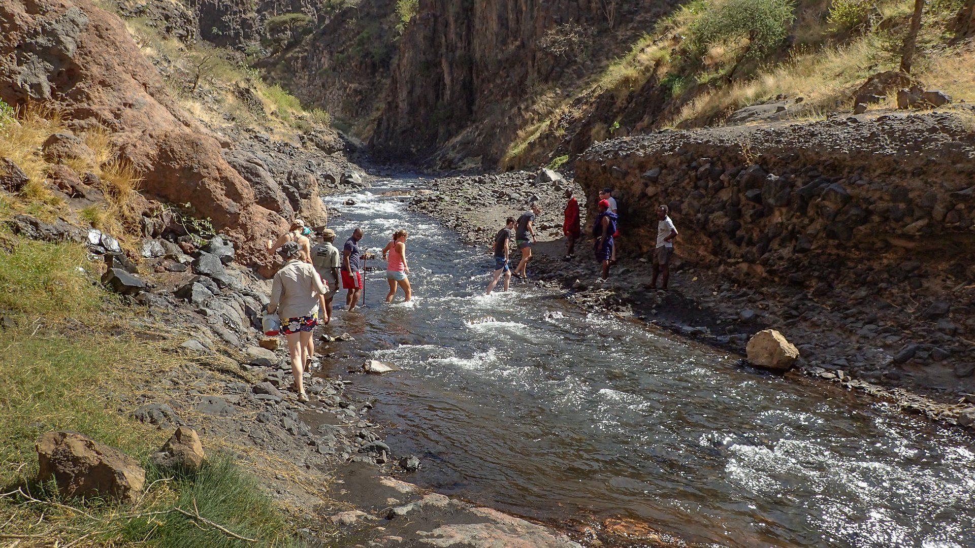 (c) Angelika Grünbeck