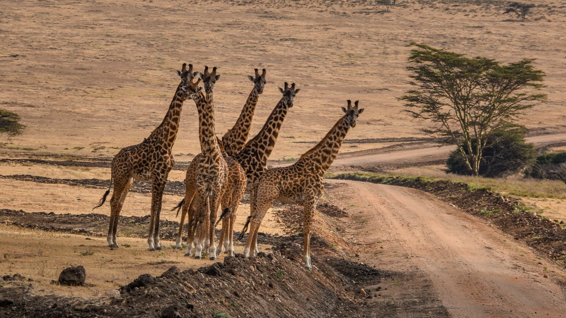 (c) Angelika Grünbeck