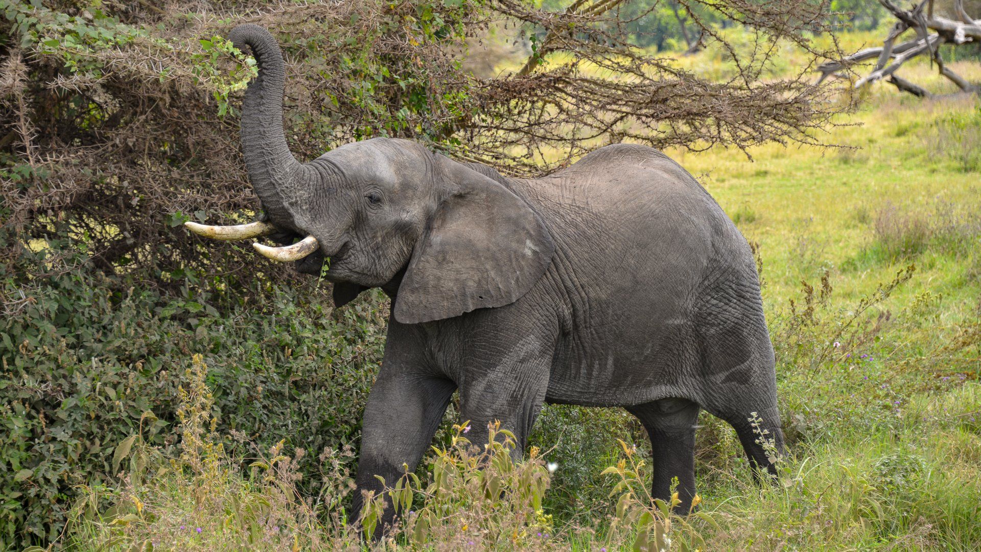 (c) Angelika Grünbeck