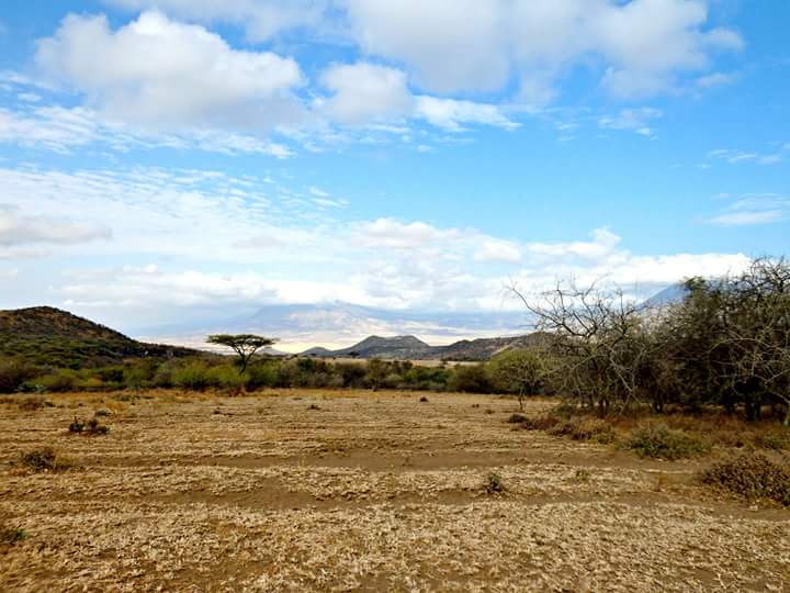 (c) Linda Topakian