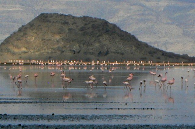 (c) Monika Propst-Yüce