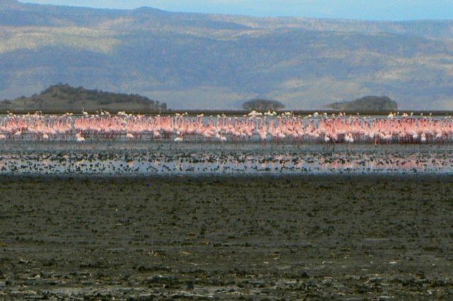 (c) Monika Propst-Yüce