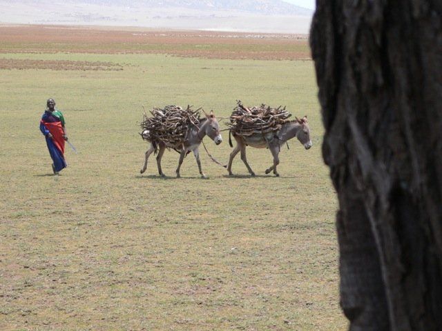 (c) Monika Propst-Yüce