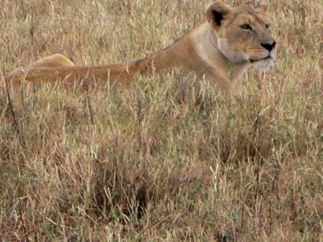 (c) Monika Propst-Yüce