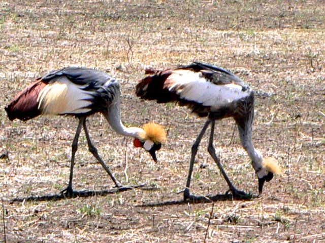 (c) Monika Propst-Yüce