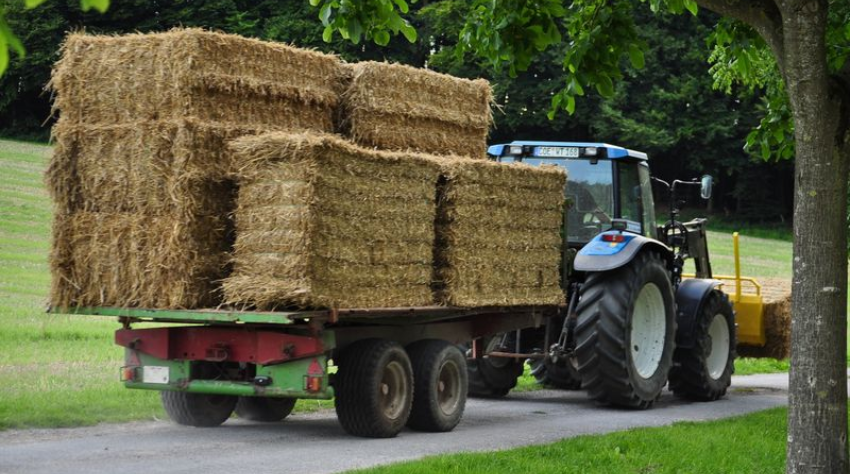 Trecker mit Anh